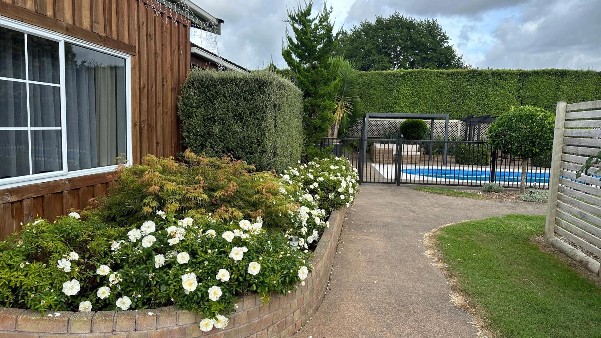 Rustling Oaks Nz Boho Pool House Hotel Cambridge Exterior photo